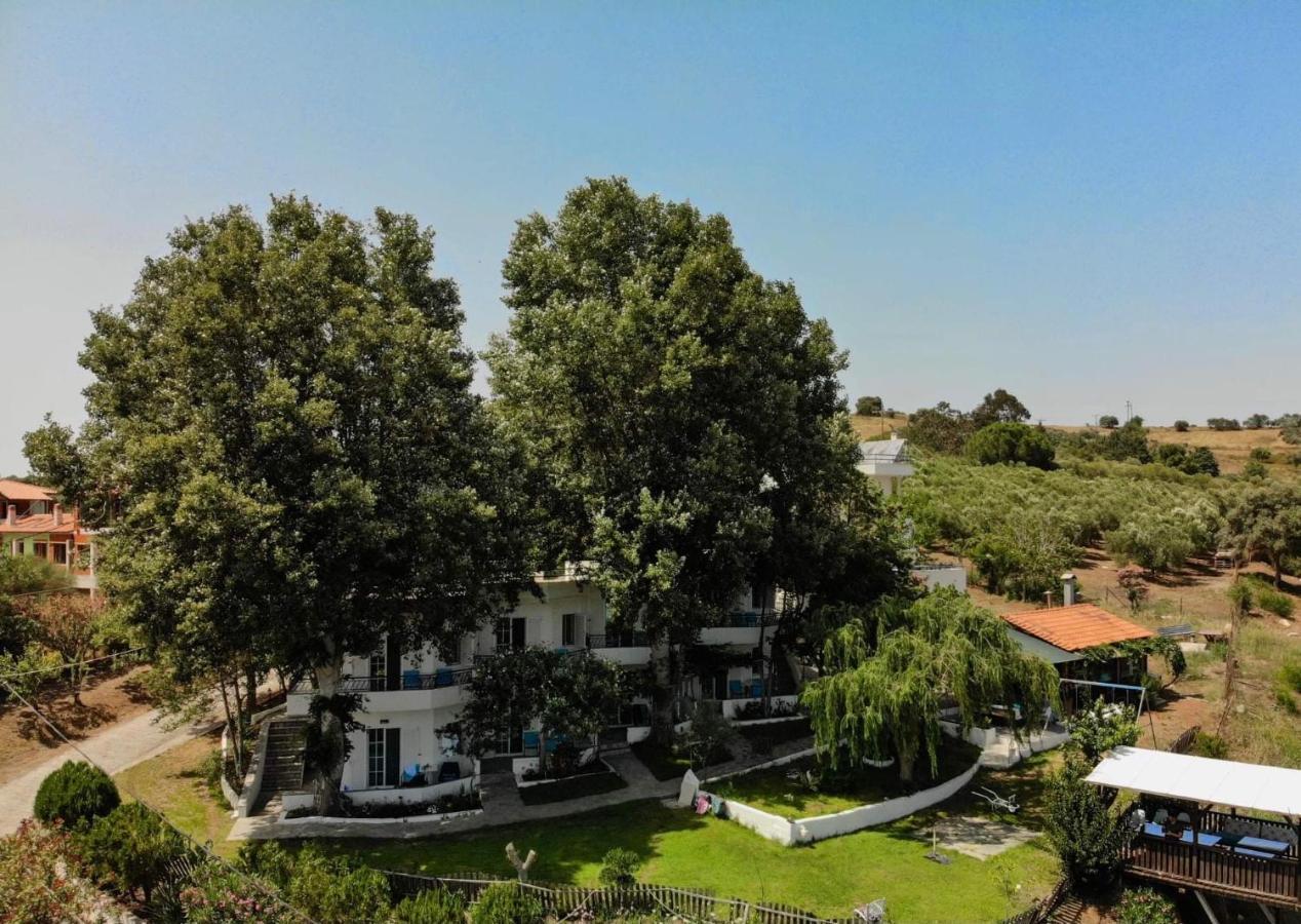 Séjour chez l'habitant Dream Hill Athos *